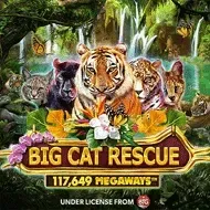 Big Cat Rescue MegaWays screenshot